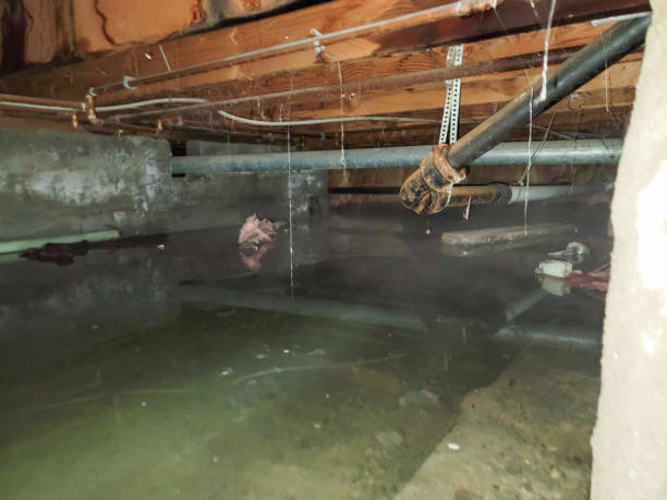 Best Water damage restoration near me  in Cuthbert, GA