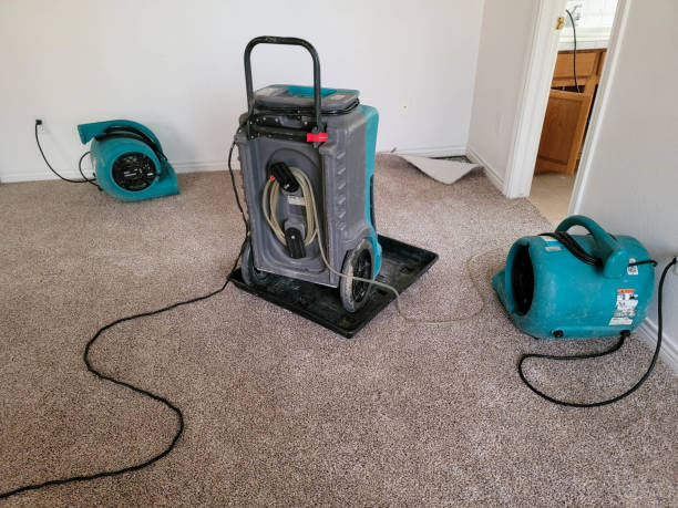 Best Sewage cleanup and water damage restoration  in Cuthbert, GA