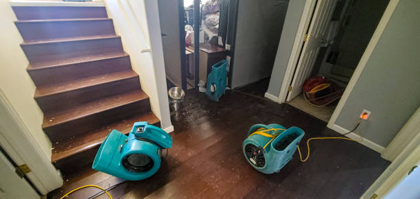 Best Ceiling water damage repair  in Cuthbert, GA