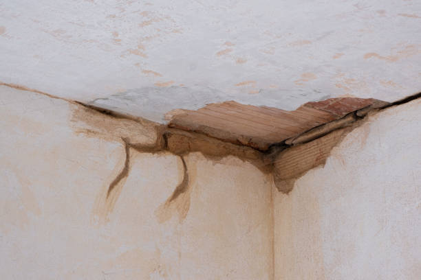 Best Water damage cleanup near me  in Cuthbert, GA