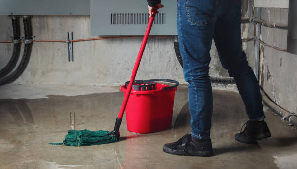 Best Water damage cleanup near me  in Cuthbert, GA