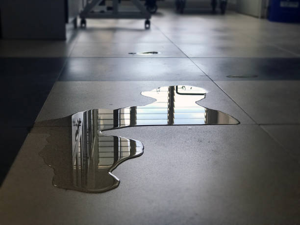 Best Water damage restoration cost  in Cuthbert, GA