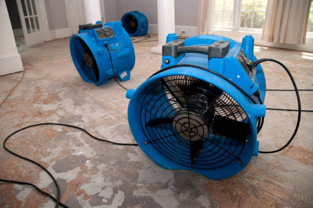 Best Flood damage cleanup  in Cuthbert, GA