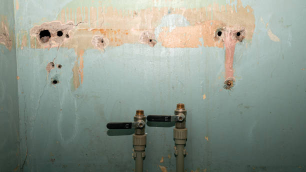 Best Flood restoration services  in Cuthbert, GA